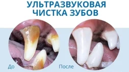 Ветеринарный центр ВетКонтроль  на Московском проспекте изображение 5