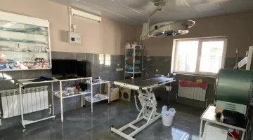 Ветеринарный центр ВетКонтроль  на Московском проспекте изображение 10
