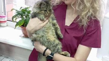 Ветеринарный центр ВетКонтроль  на Московском проспекте изображение 17
