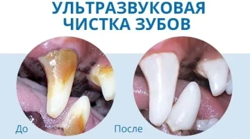 Ветеринарный центр ВетКонтроль  на Московском проспекте изображение 12
